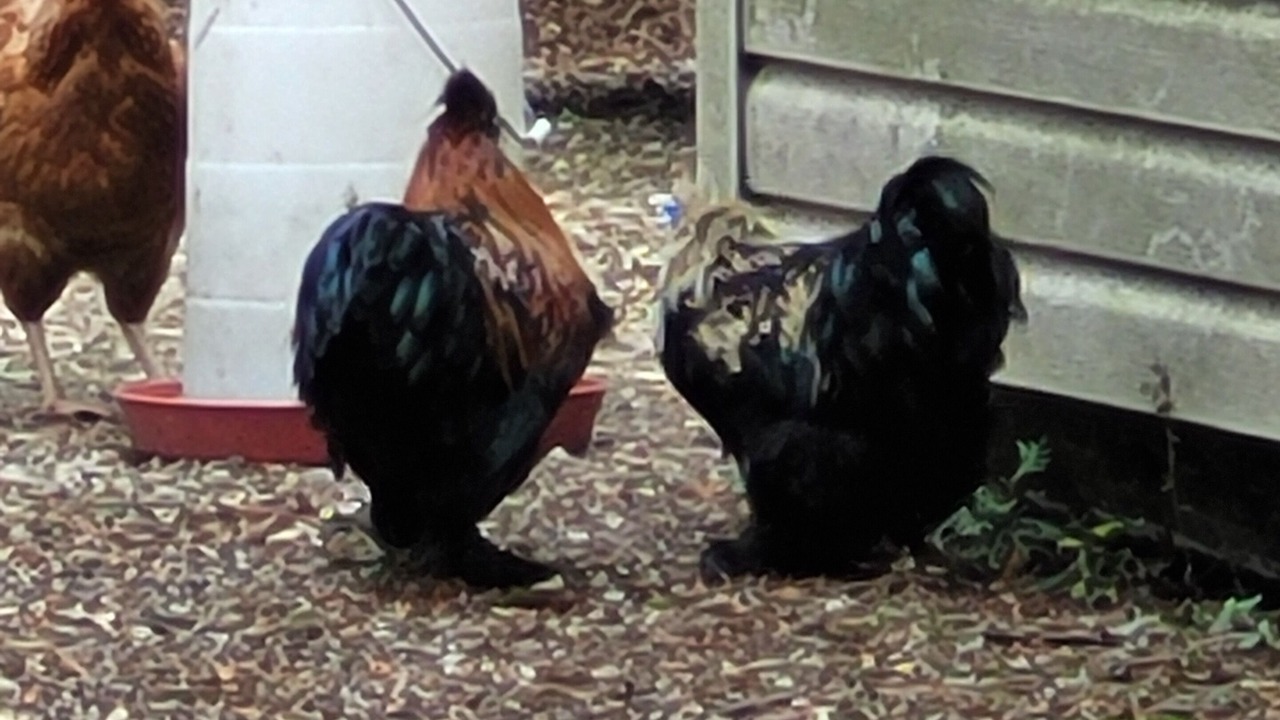 Photo of Others in Manitoulin District