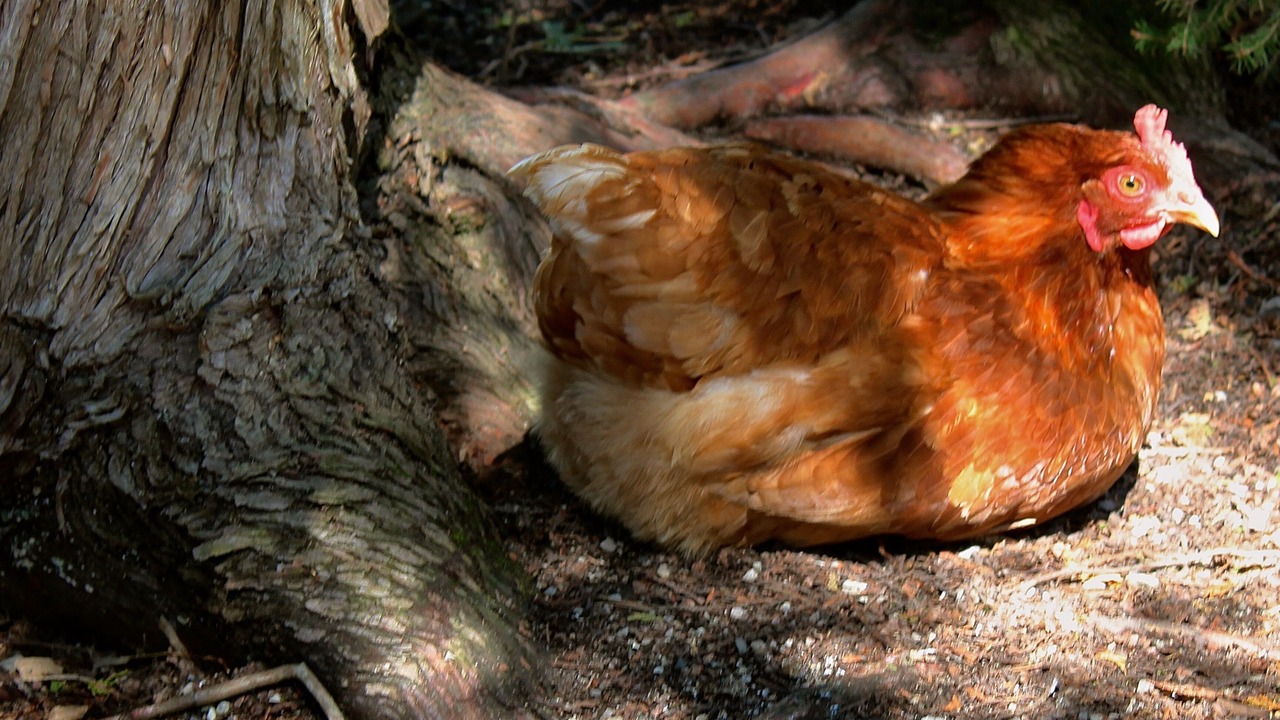 Photo of Others in Manitoulin District