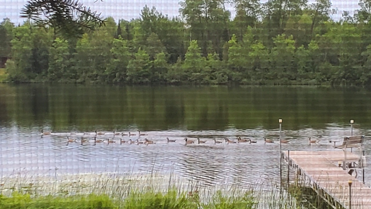 Photo of Outdoor in Bigfork