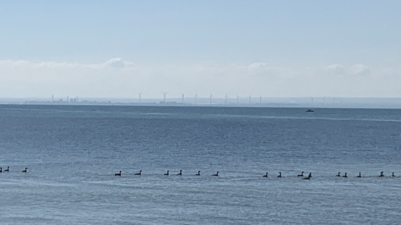 Photo of Outdoor in Fort Erie