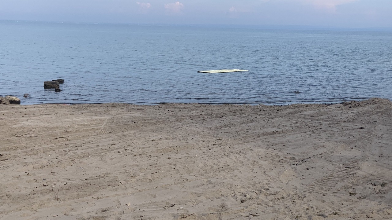 Photo of Others in Fort Erie