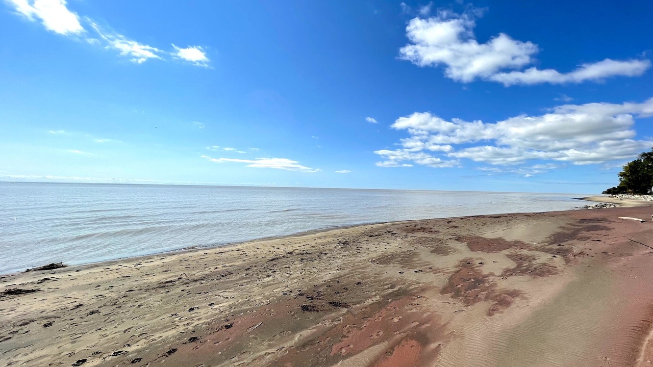 Photo of Others in Long Point