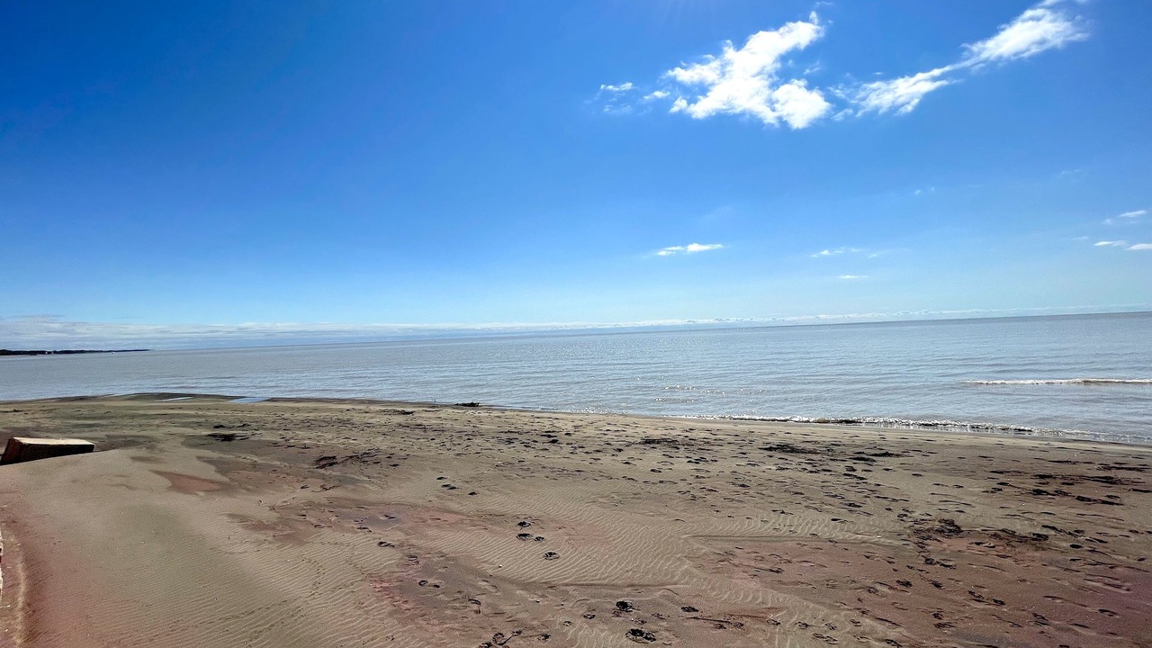Photo of Others in Long Point