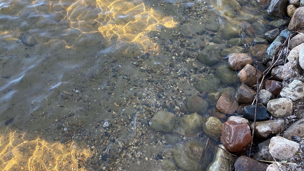 Photo of Outdoor in South Haven
