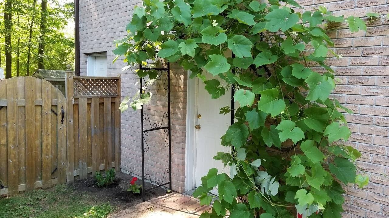Photo of Outdoor in York Regional Municipality