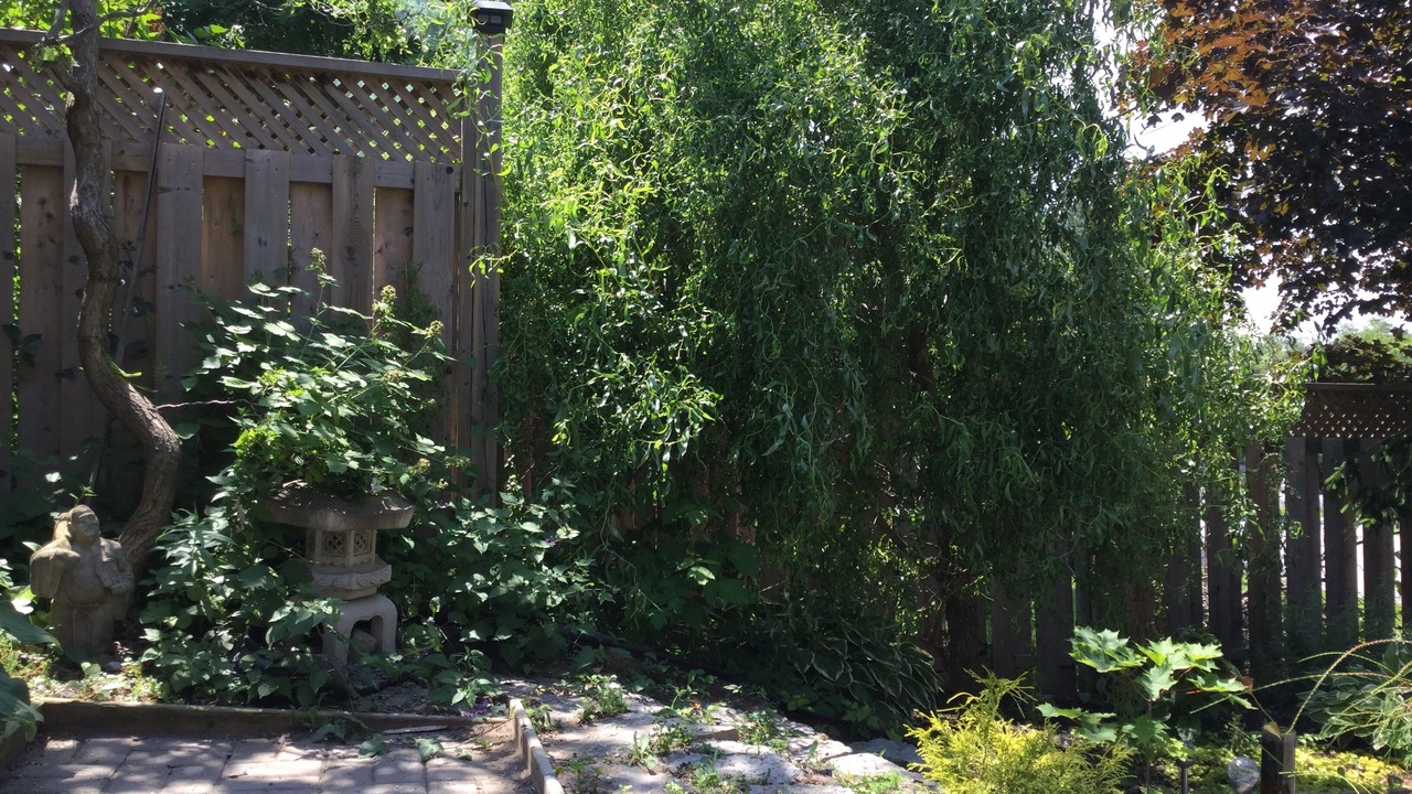 Photo of Outdoor in Peterborough