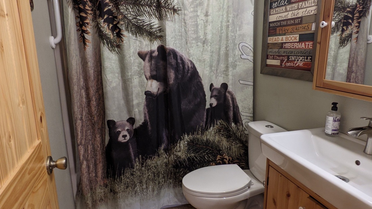 Photo of Bathroom in Beltrami County