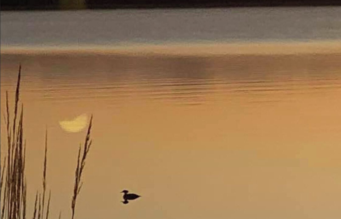 Photo of Others in Nisswa