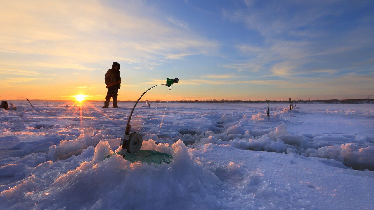 Photo of Others in Nisswa