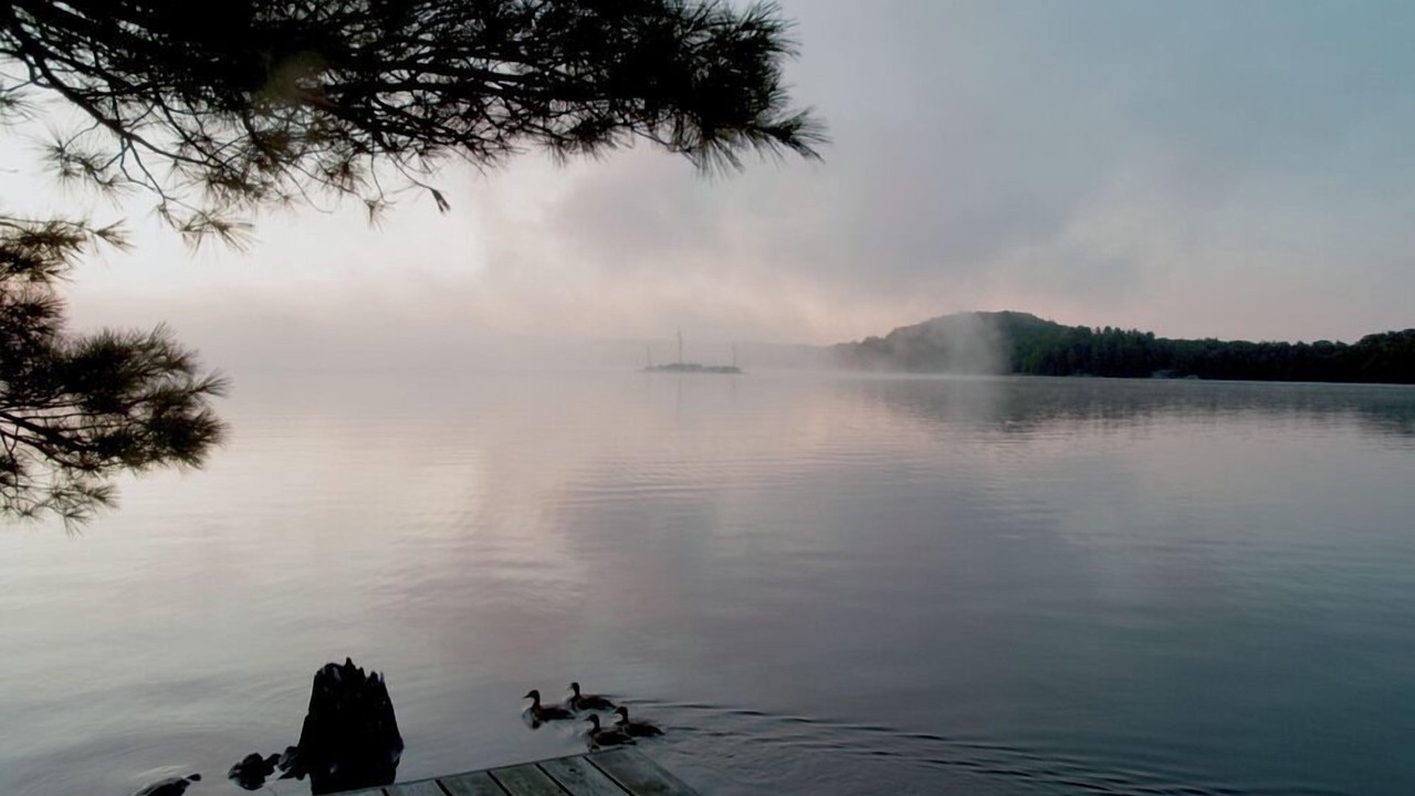 Photo of Others in Huntsville
