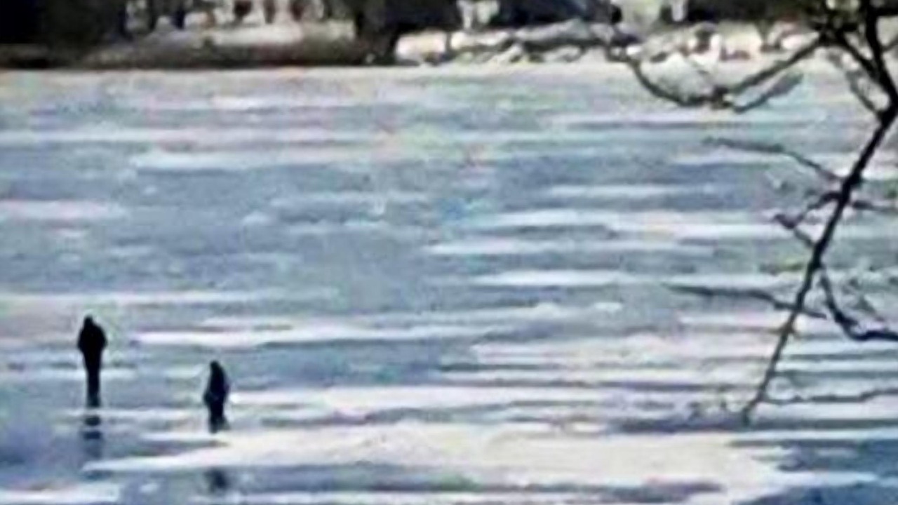 Photo of Others in Detroit Lakes