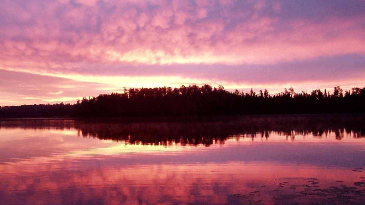 Photo of Others in Marcell