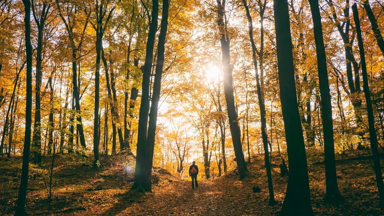 Photo of Outdoor in Marcell