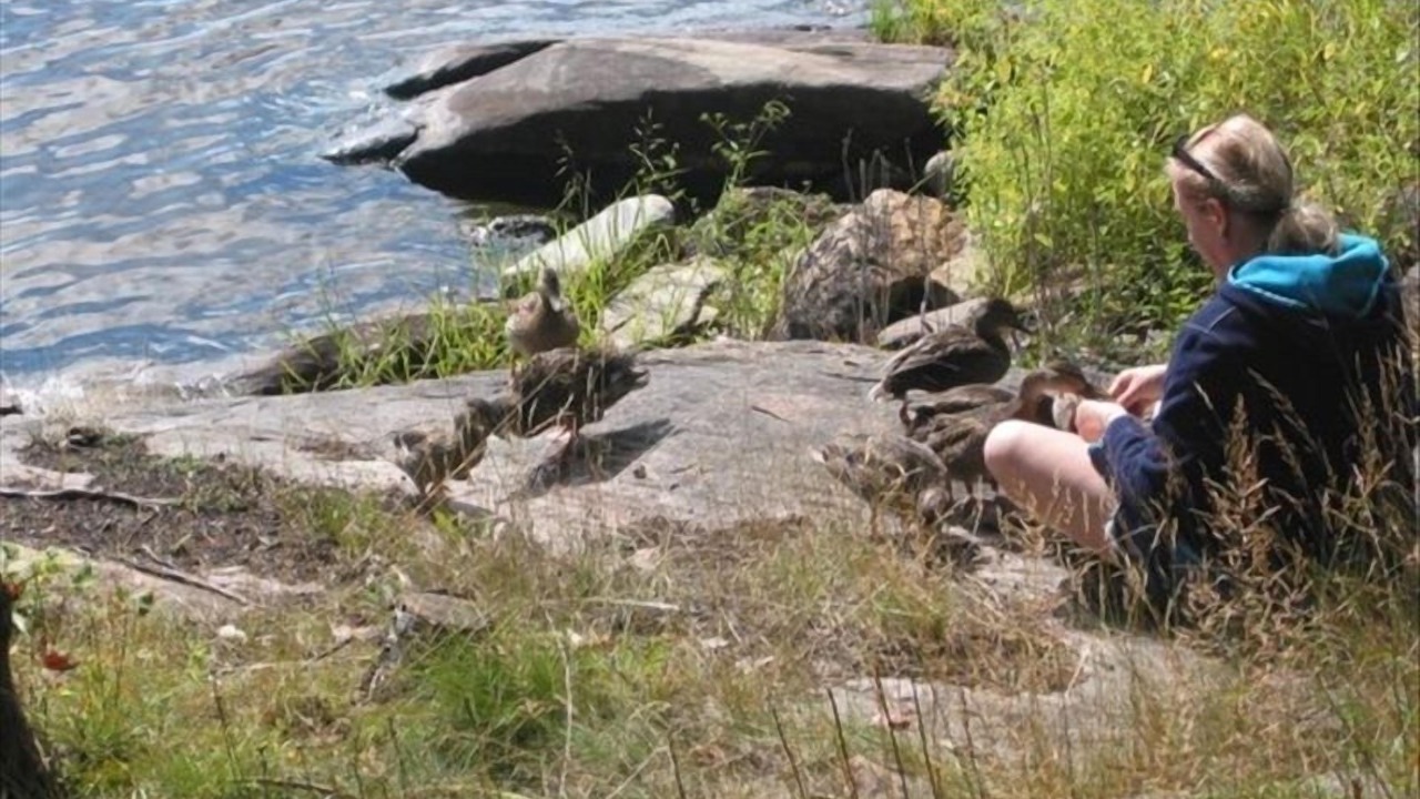 Photo of Outdoor in Baysville