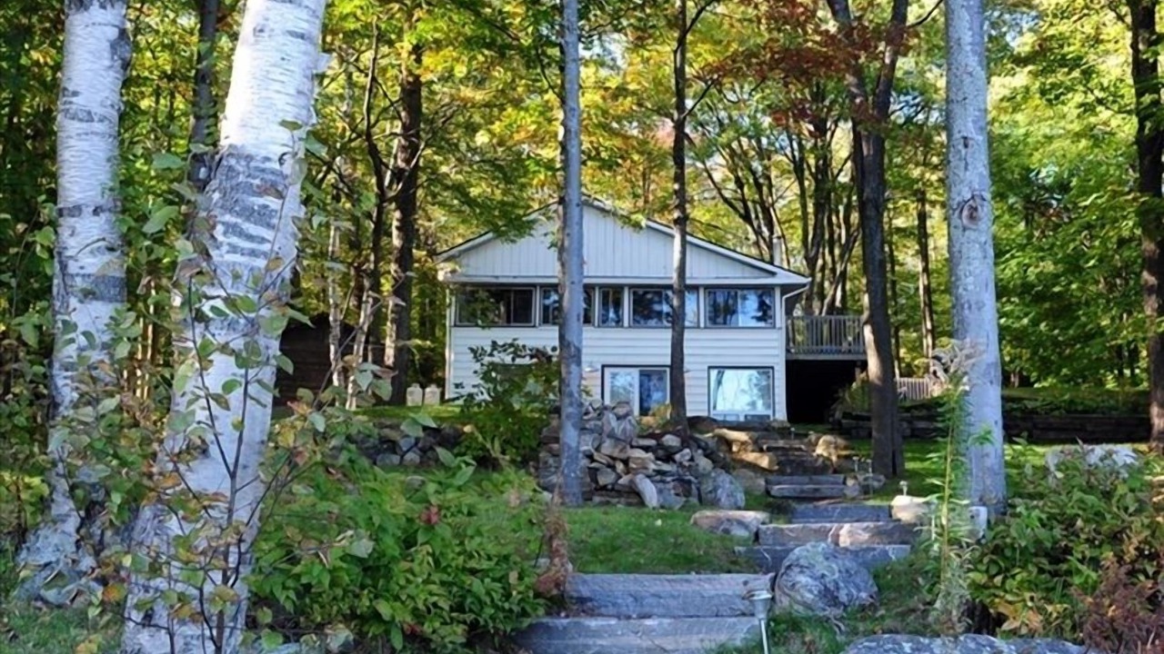 Photo of Outdoor in Baysville