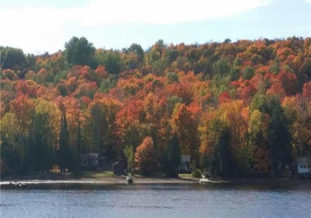 Photo of Others in Haliburton