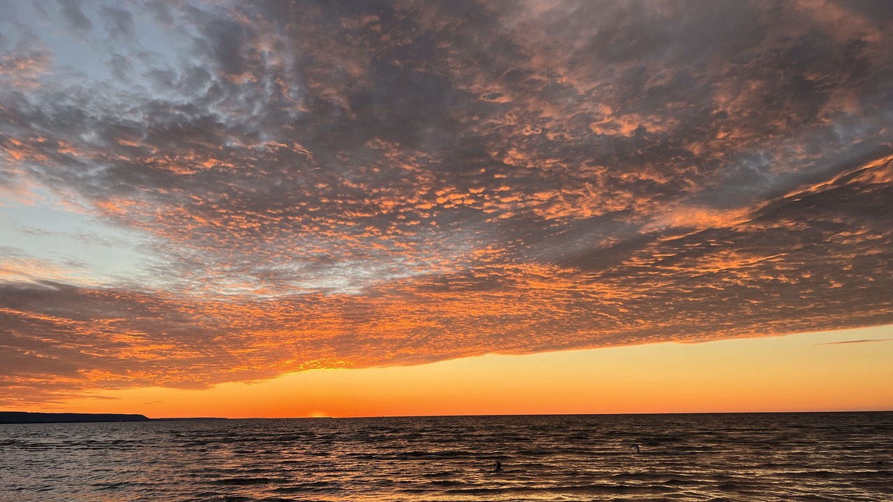 Photo of Others in Wasaga Beach