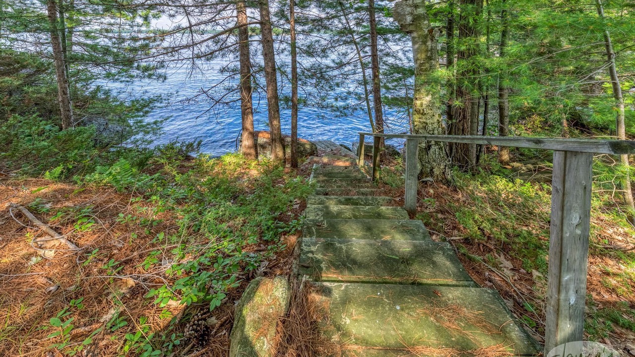 Photo of Others in Port Carling