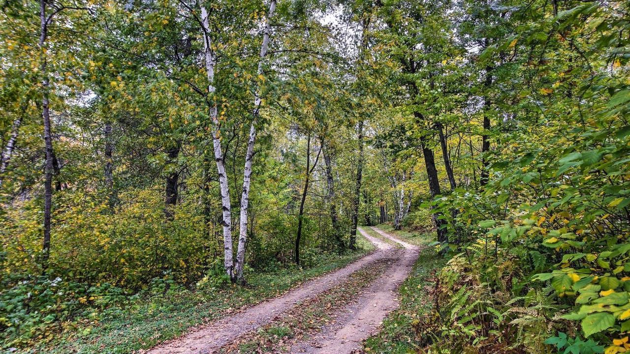 Photo of Others in Pequot Lakes