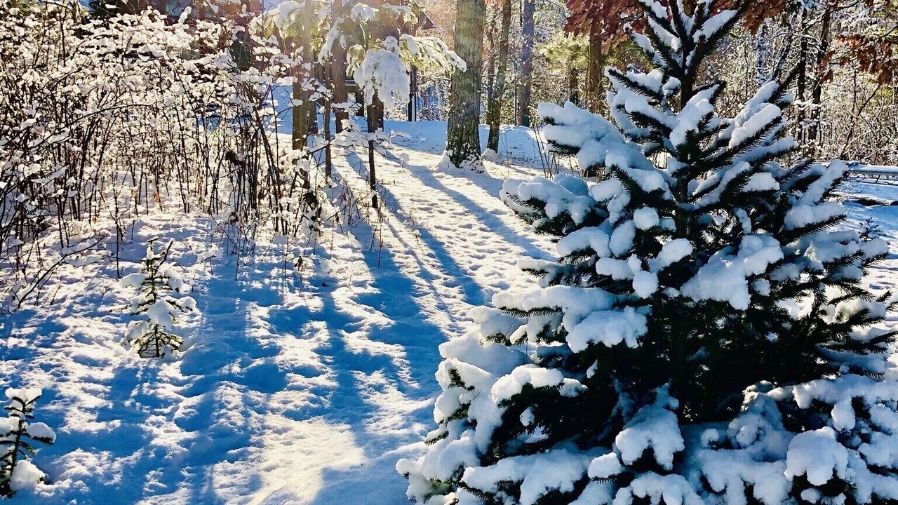 Photo of Outdoor in Pequot Lakes