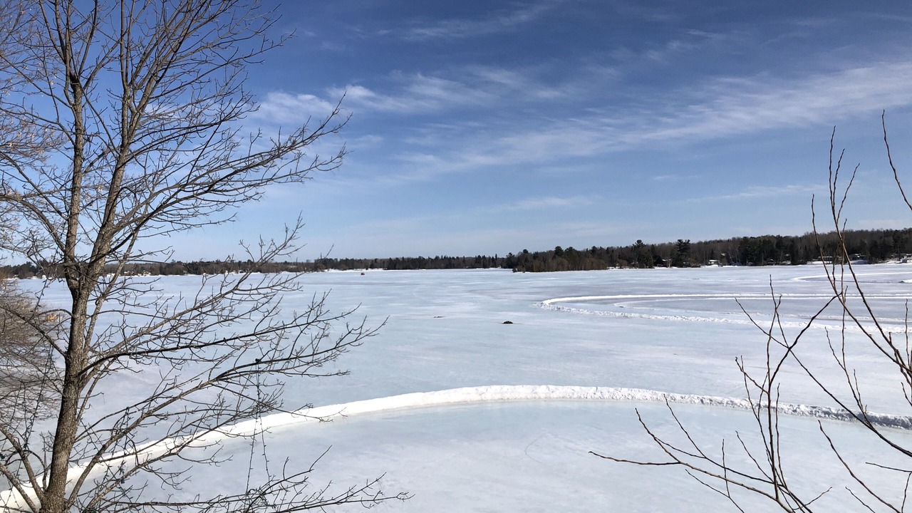 Photo of Others in Duluth