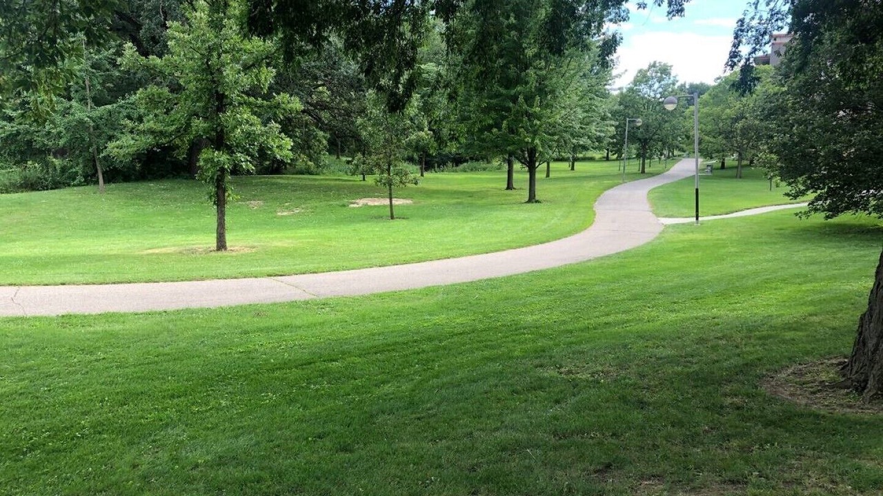 Photo of Others in Kutzky Park