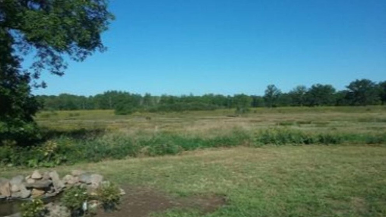 Photo of Outdoor in Brook Park