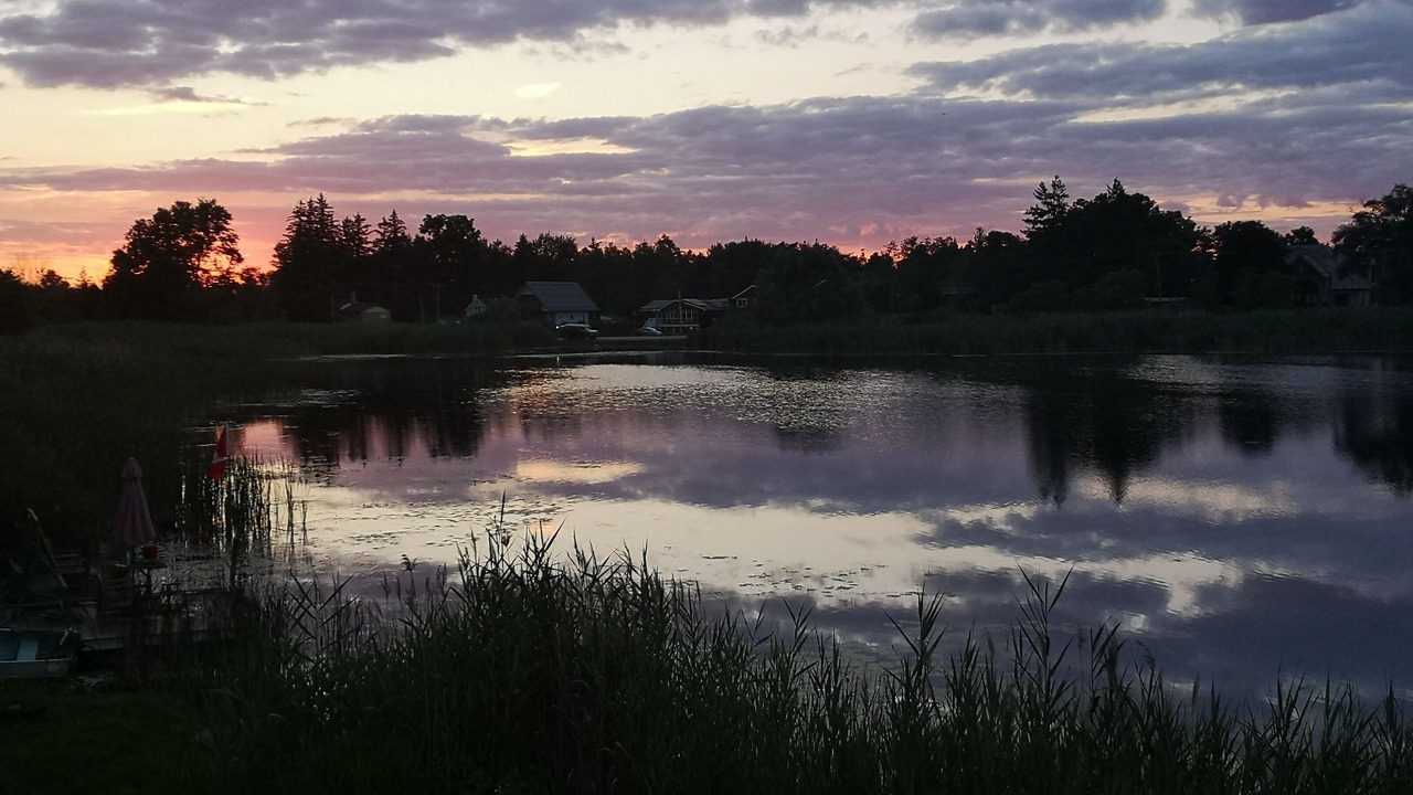 Photo of Others in Puslinch
