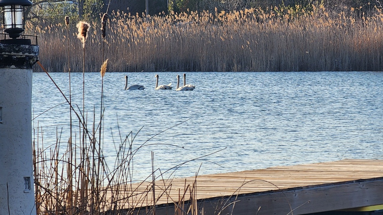 Photo of Outdoor in Puslinch
