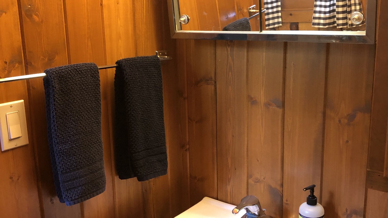 Photo of Bathroom in Remer