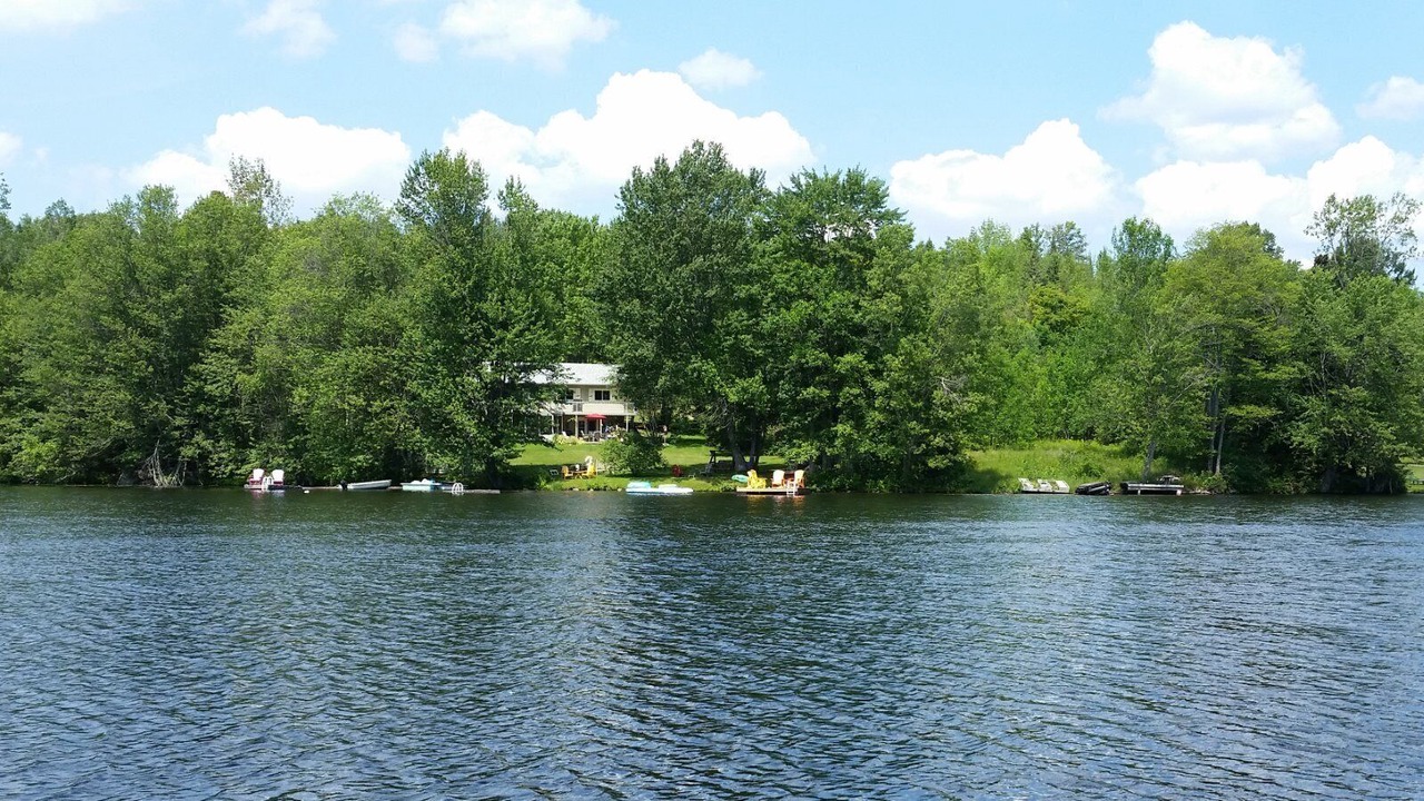 Photo of Others in Wollaston
