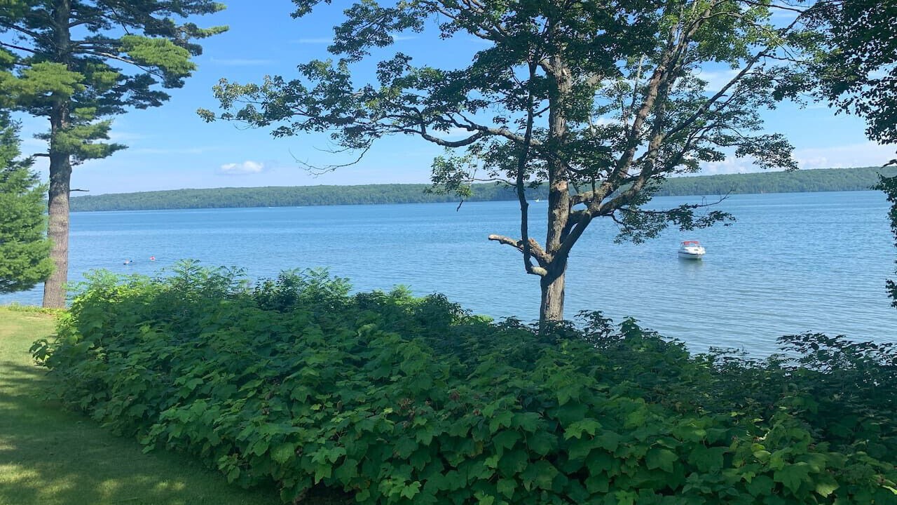 Photo of Outdoor in Red Cliff