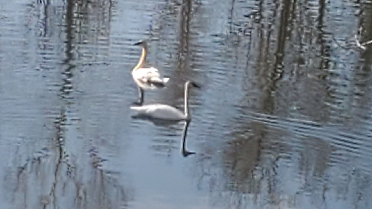 Photo of Others in Carlton County