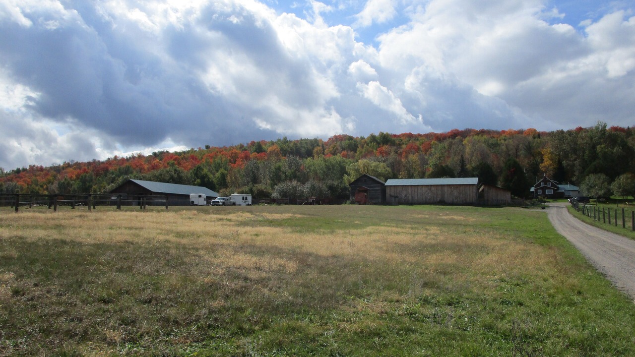 Photo of Others in Bonnechere Valley