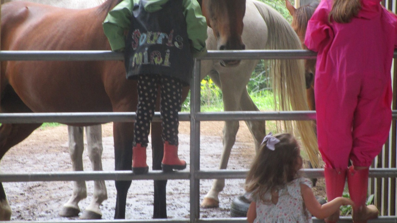 Photo of Others in Bonnechere Valley