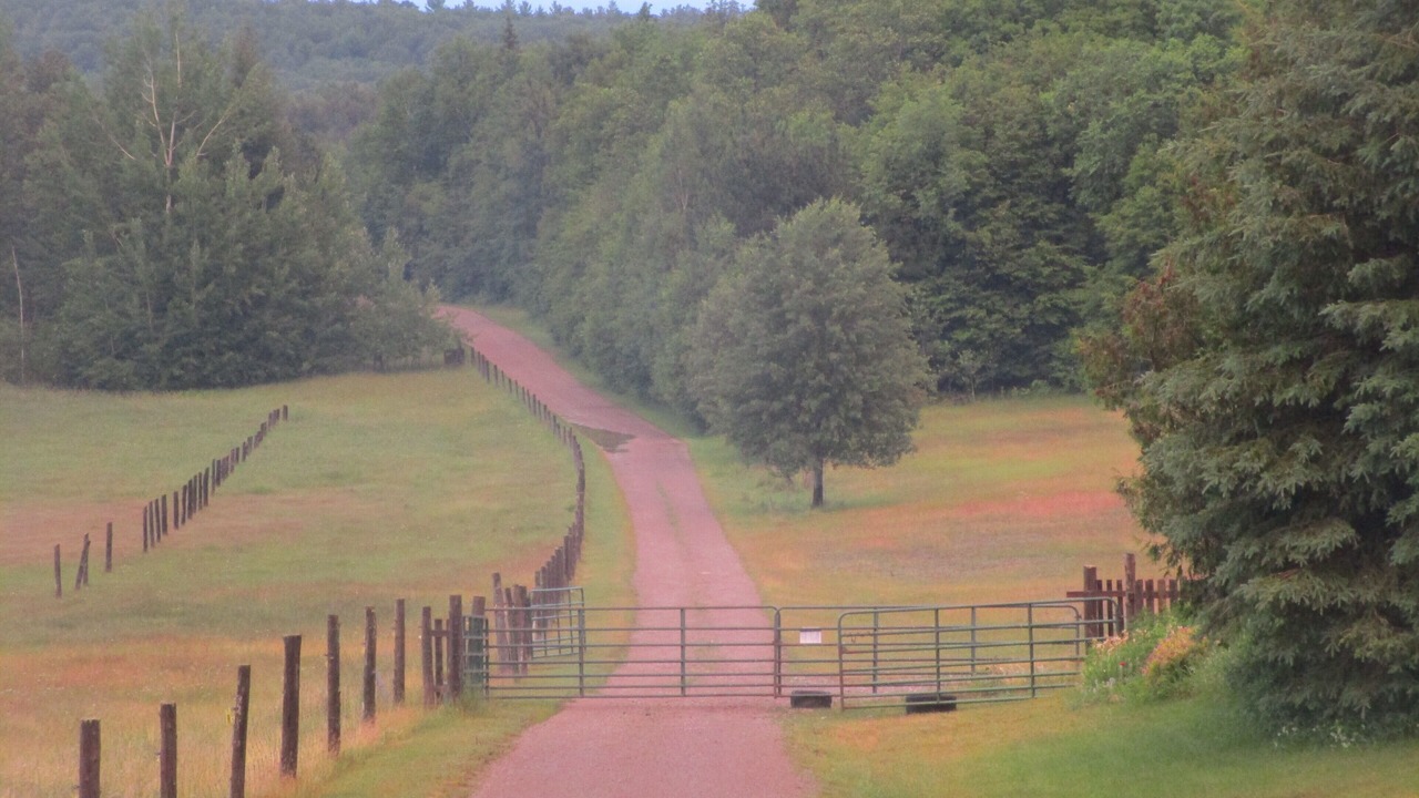 Photo of Others in Bonnechere Valley