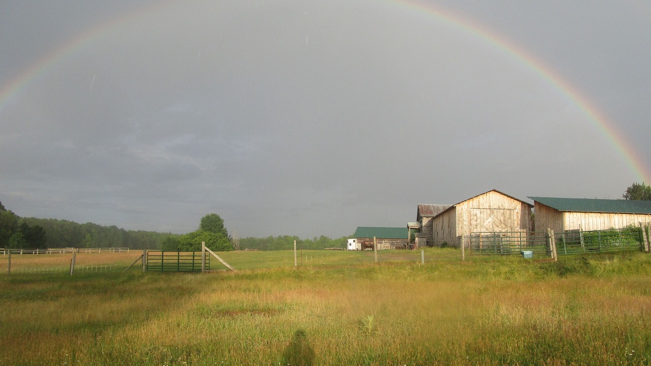 Photo of Others in Bonnechere Valley