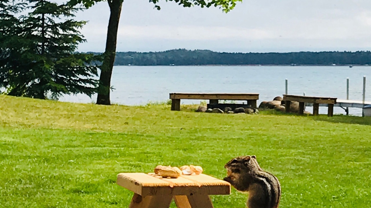 Photo of Others in Park Rapids