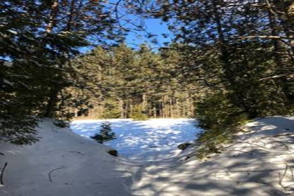 Photo of Others in Alnwick/Haldimand