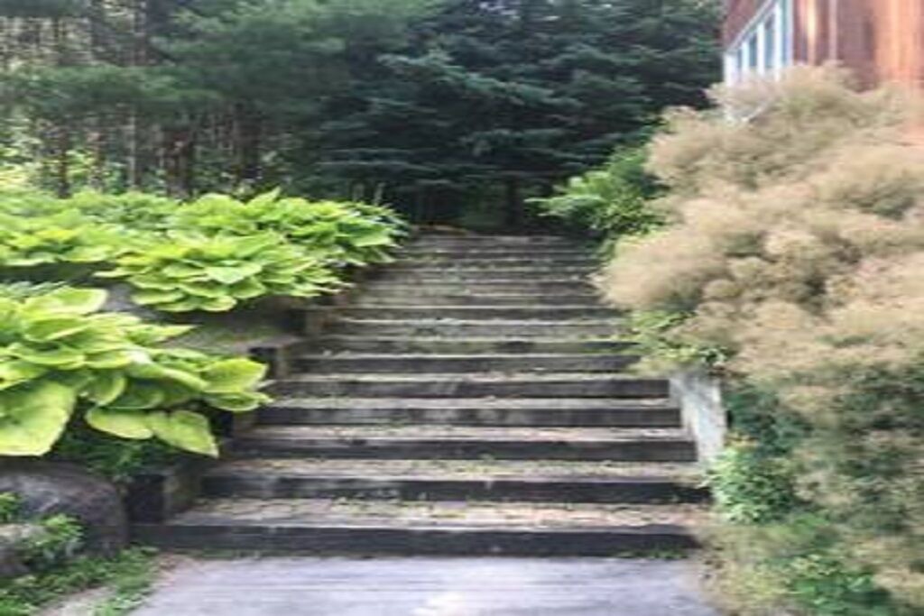 Photo of Outdoor in Alnwick/Haldimand