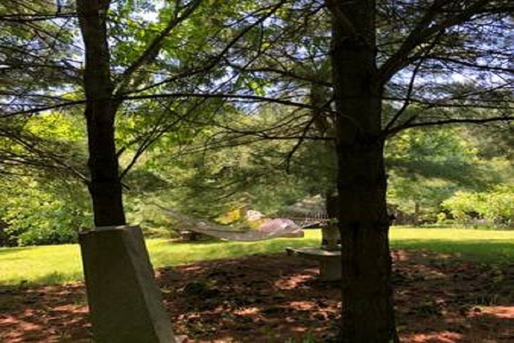 Photo of Outdoor in Alnwick/Haldimand