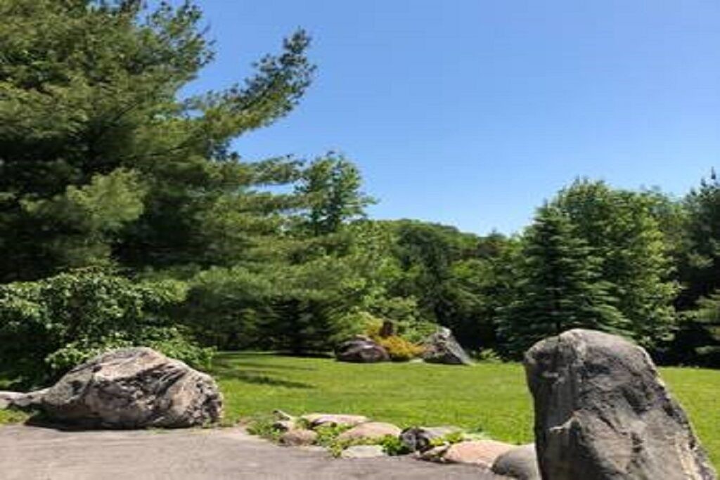 Photo of Outdoor in Alnwick/Haldimand