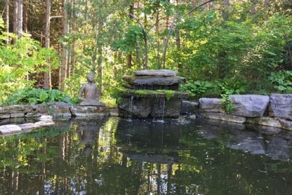 Photo of Outdoor in Alnwick/Haldimand