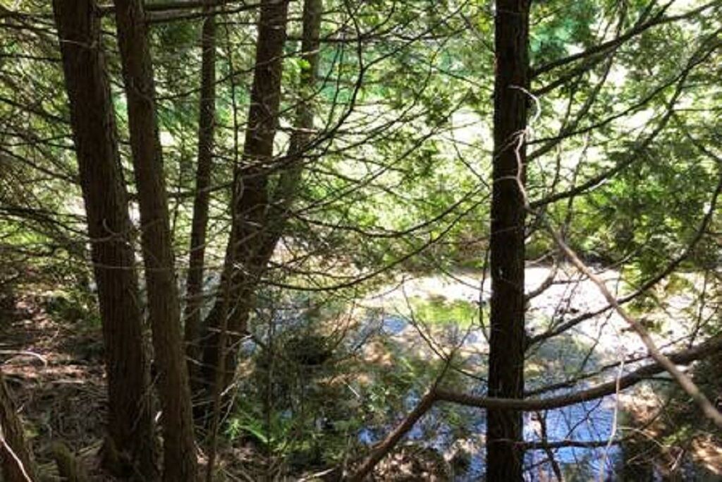 Photo of Outdoor in Alnwick/Haldimand