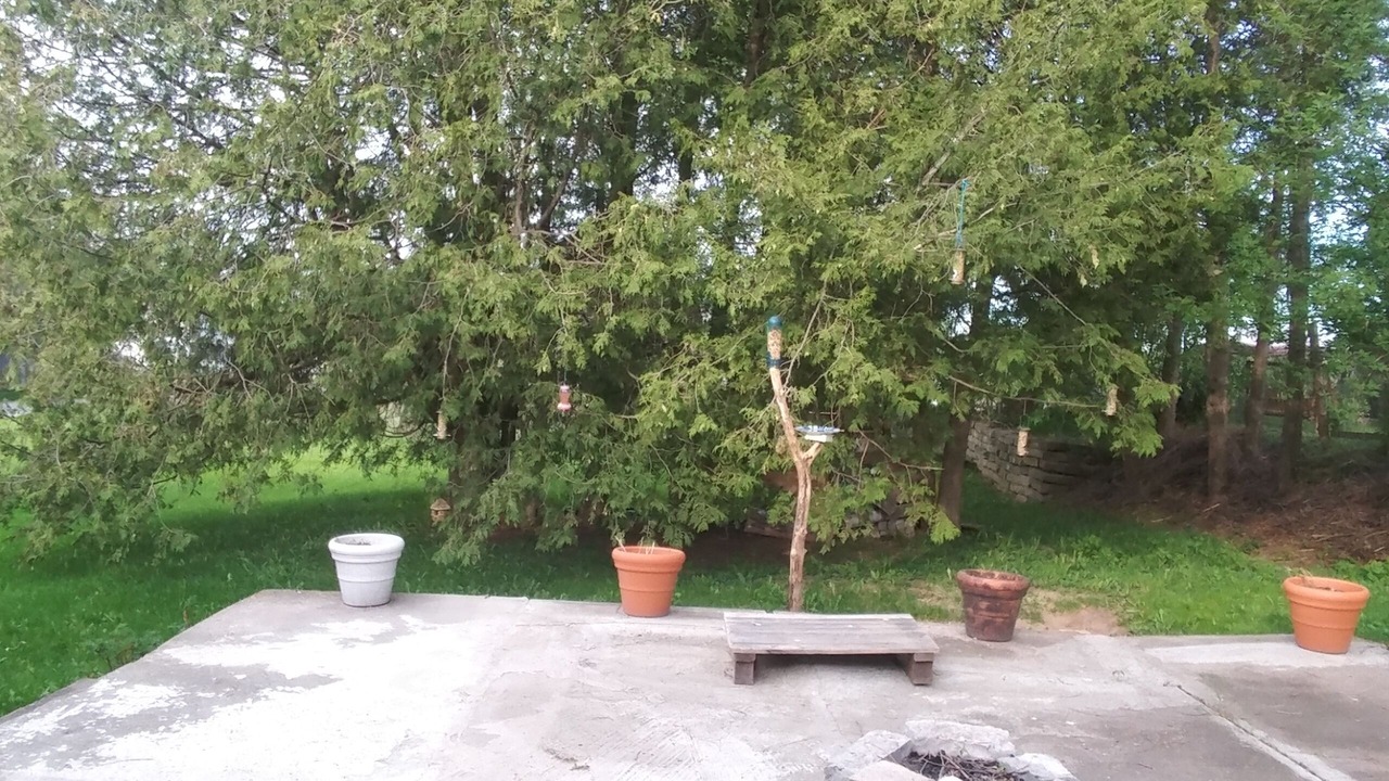 Photo of Outdoor in Thomasburg