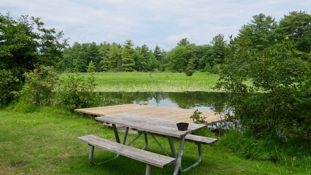 Photo of Outdoor in Port Severn