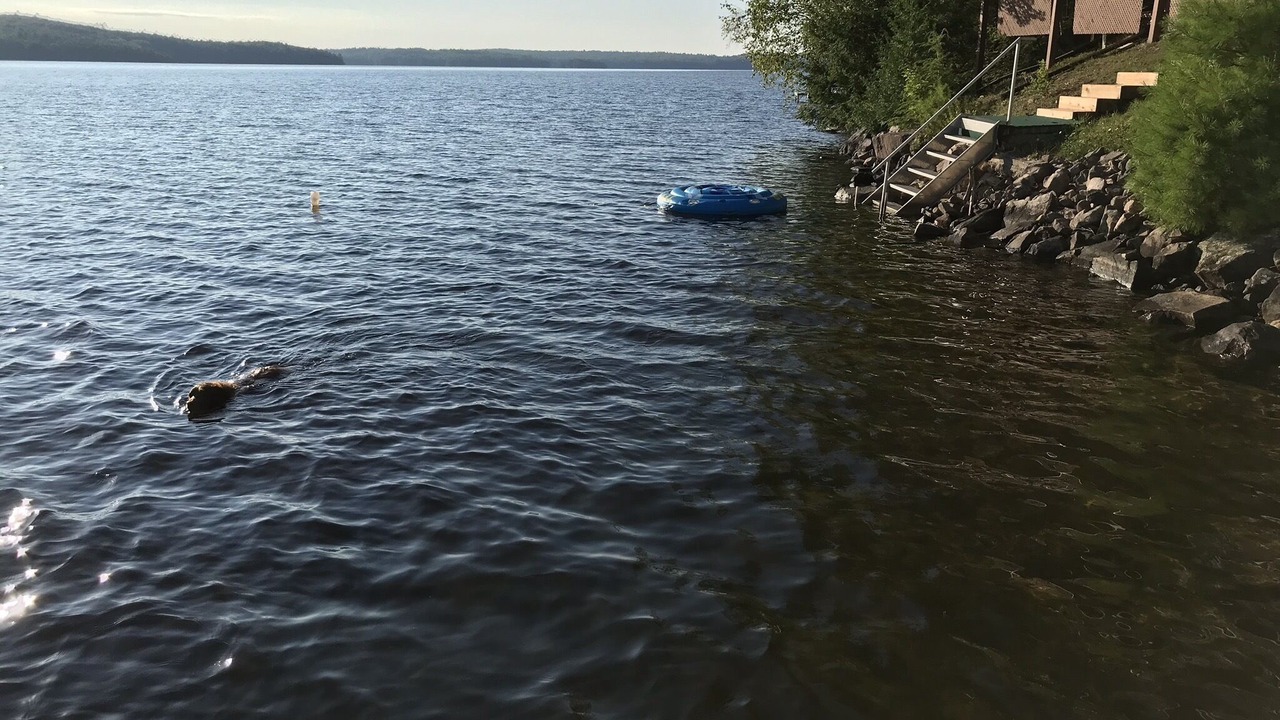 Photo of Others in Addington Highlands