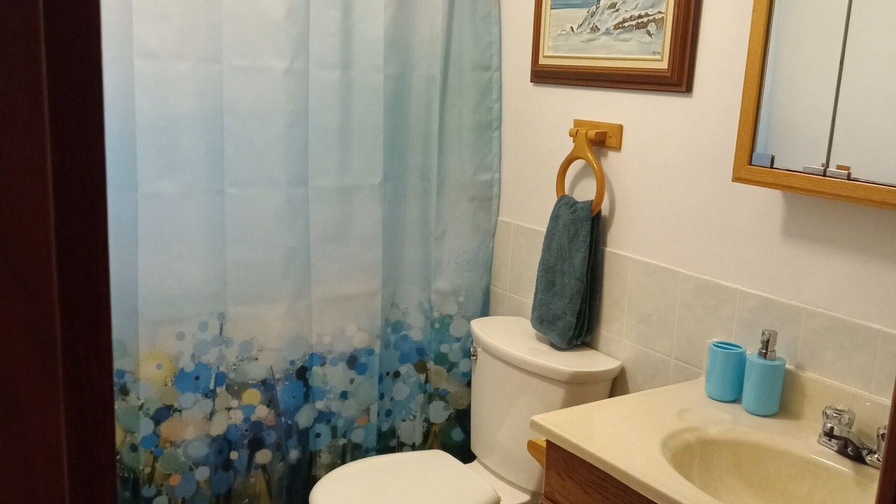 Photo of Bathroom in Algoma District