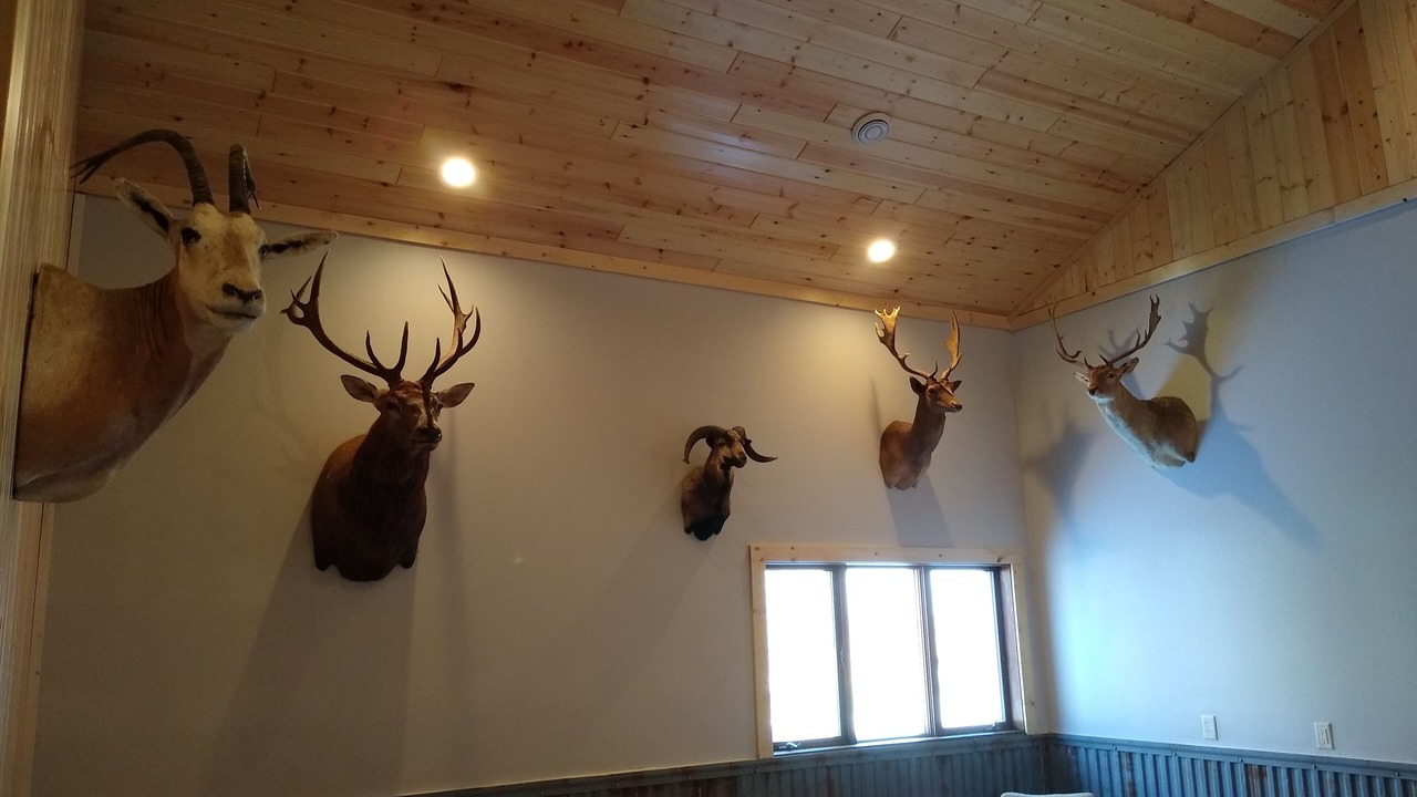 Photo of Bedroom in Canby