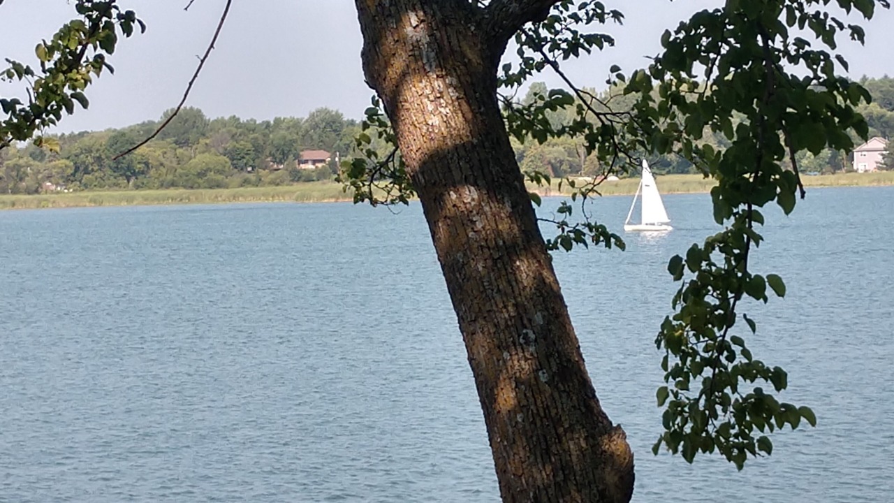 Photo of Others in Maple Lake